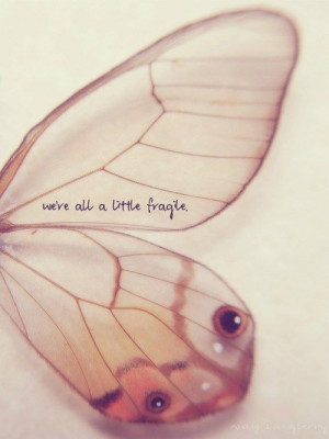 fragile quote