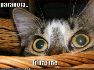 funny-pictures-paranoid-cat.jpg#funny%20paranoia%20ecards%20500x375