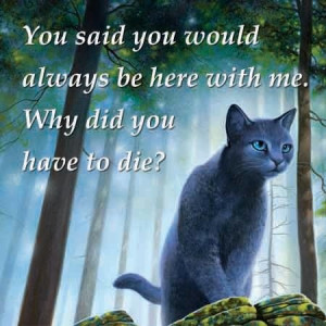 Warriors Cats Bluestar Bluestar's prophecy :(