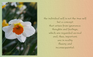 Spirituality Quotes – The individual self is not the true self but a ...