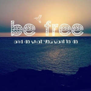 be free, beach, bird, good vibes, life, quote, sea, bluebelleke