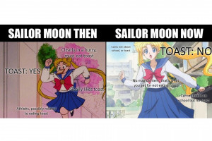Sailor Moon Cats Tumblr Sailormoon.jpg