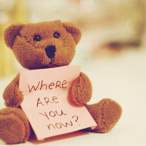 bear, cute, miss you