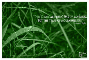 Dew-drops are the gems of the morning. But the tears of mourndfull ...