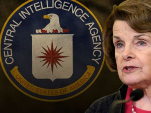 The vast majority of the torture report's eye-popping $40 million cost ...