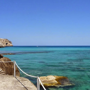 ... longer quote, from her book “Illness as Metaphor”, more + quote