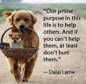 Our prime purpose in this life is to help others. And if you can't ...