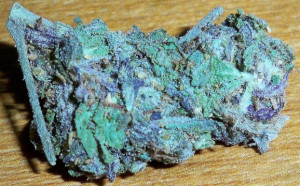 Strain Name : Blue Dream
