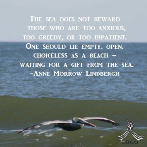 Beautiful quote from Anne Lindbergh.