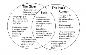 The Giver Essay Help