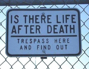 Is there life after death