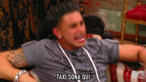 poncho jersey shore pauly d cabs are here taxi sona qui animated GIF