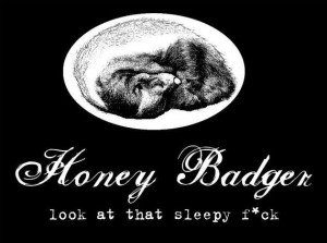 love love LOVE the Honey Badger!