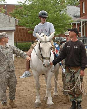 Equine Veterans Day