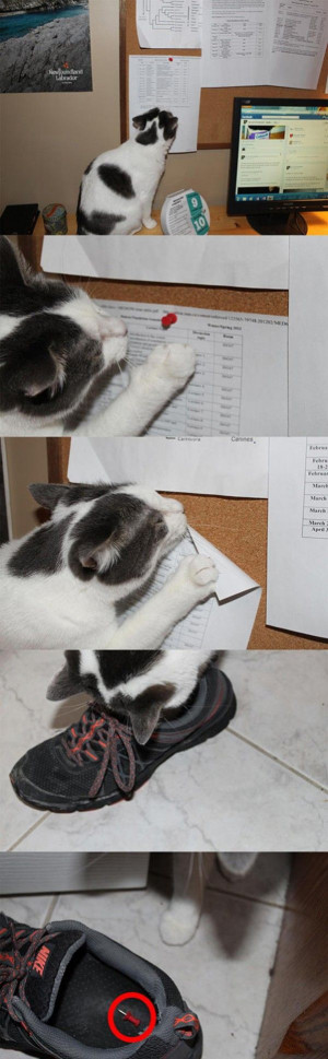 Yeah, dressing me up for Halloween was a hoot. But, paybacks are hell.