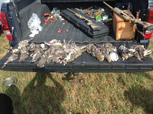 Hunting Corporate Fishing Dove Day Duck
