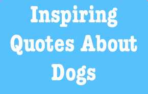 Link to Inspiring Quotes About Dogs