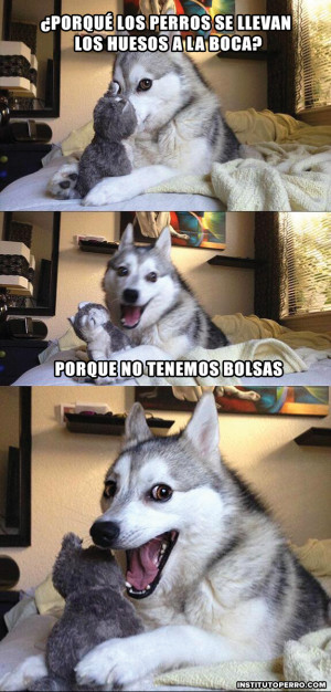 chistes contados por un perro husky