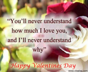 ... How Much I Love You, And I’ll Never Understand Why” ~ Love Quote