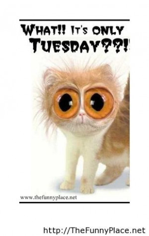 Its Only Tuesday Funny Quote