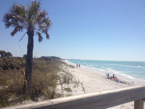 Don Pedro Island State Park