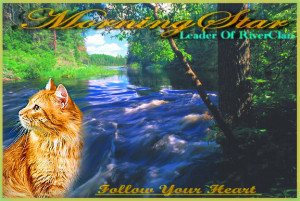 Goldenstream~WindClan~She-cat~Warrior