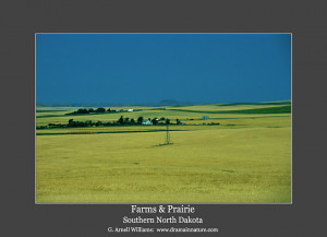 Prairie Picture in North Dakota