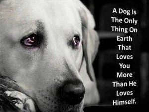Displaying (16) Gallery Images For I Love My Dog Quotes...