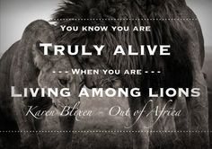... lions, you will know just what the lady means. www.african-wildlife
