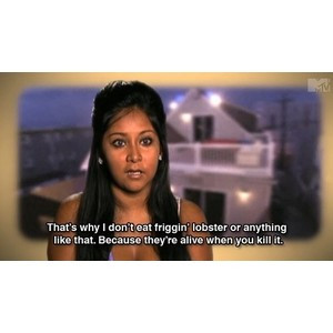 The 12 Best Snooki Quotes: Pics, Videos, Links, News