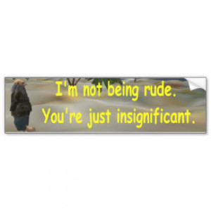 Funny Shirt Quote Not Rude You Are Insignificant