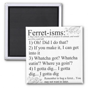Ferret Pictures Sayings and Quotes Fridge Magnet