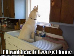 ll wait here till you get home.