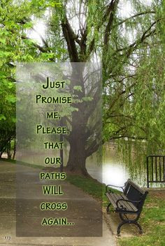 Just promise me please, that our paths will cross again.