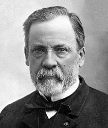 Louis Pasteur Quotes In French. QuotesGram