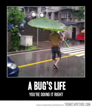 funny big leaf rain umbrella