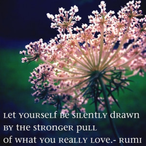 ... be silently drawn by the stronger pull of what you really love