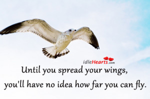 Until you spread your wings, you’ll have no idea how far you can fly ...
