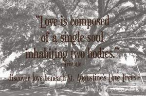 Such a cute idea! They're love trees in St. Augustine! A love tree is ...