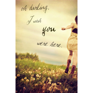 Owl City photography quote by haleyy