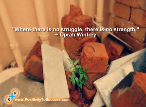 ... Where there is no struggle, there is no strength.” ~ Oprah Winfrey