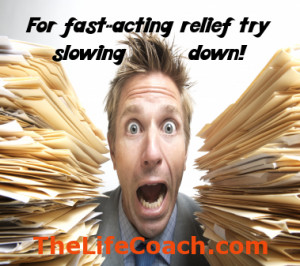 thelifecoach.comTop Ten Funny Stress Quotes | The Life Coach