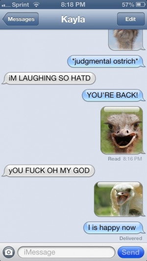 Ostriches Everywhere