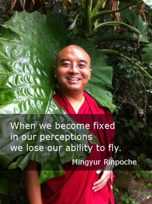 MingyurRinpoche_AbilityToFly.jpg