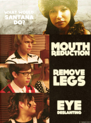 Glee Santana Quotes