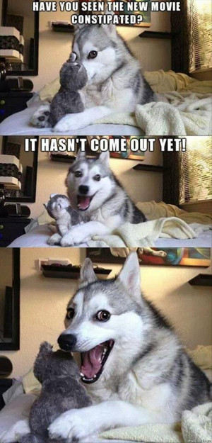 the one liner dog joke meme