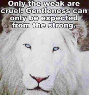 Beautiful lion and great quote