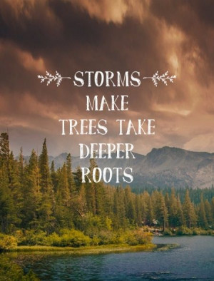 , Quotes Funny Pictures, Advice Quotes, Storms Deeper Roots, Quotes ...