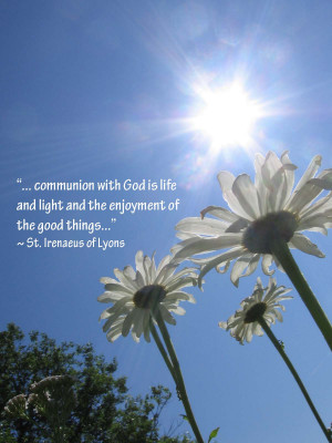 First Communion Quotes Eucharist http://actjustly.blogspot.com/2011/07 ...