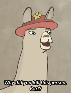 llamas in hats